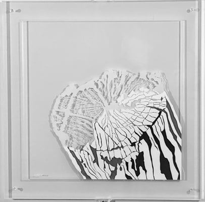 BAUMPOESIE,50X50, ACRYL AUF ACRYLGLAS, PREIS AUF ANFRAGE