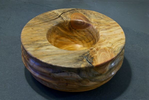 Schwarzkiefer  (&copy; G. Lampesberger)