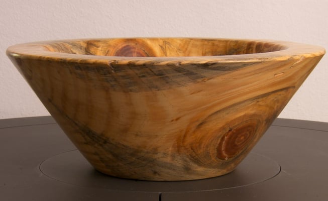 Schwarzkiefer  (&copy; G. Lampesberger)