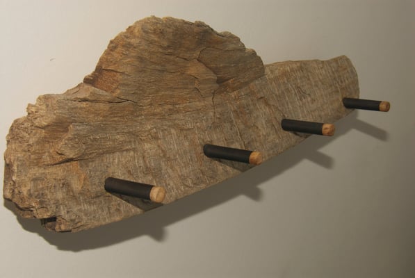 Schwemmholz aus der Torenner Ache/Bluntautal (Salzburg)  (&copy; G. Lampesberger)