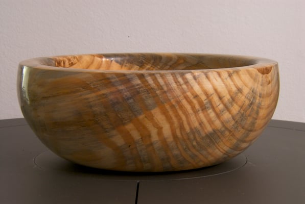 Schwarzkiefer  (&copy; G. Lampesberger)