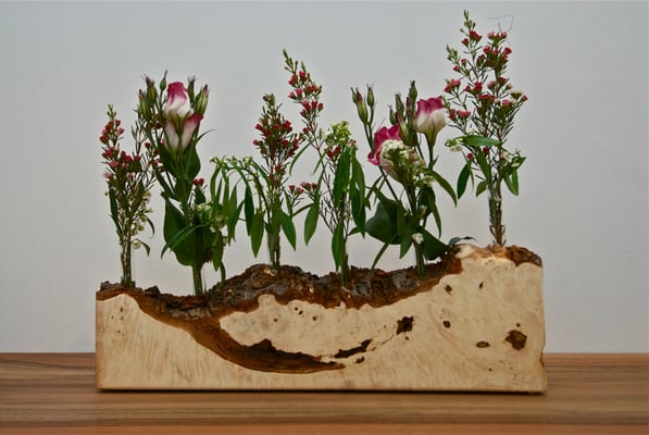 Roßkastanie - nur das Holz natürlich!!!  (&copy; G. Lampesberger)