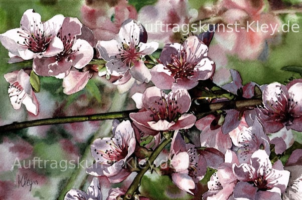 "Kirschblüten" Aquarell ca. 20x30cm