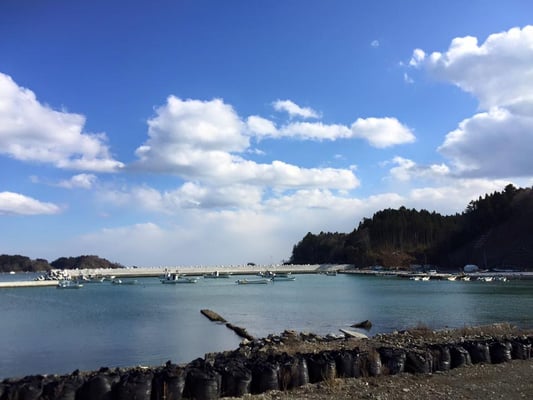 前より立派な防波堤が出来ました