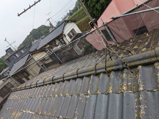 腐敗したセキスイ瓦を屋根カバー工事でキレイに　画像3