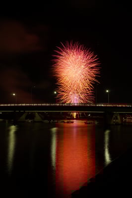 入選：素敵な花火：巽三喜男