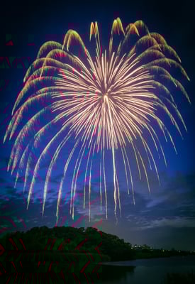 推薦：黄昏の大輪：伊東弘素