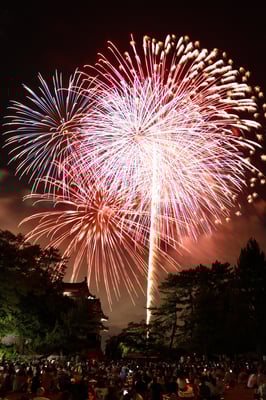 入選「華想いの広場」赤澤学