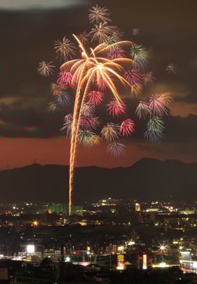 準特選「夕焼けに花咲く」野村政明