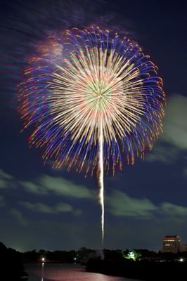 準特選「大輪咲く」山川建一郎