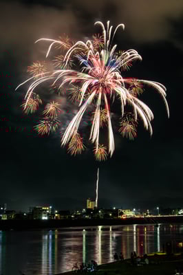 準特選：五彩色の花開く：佐々木康児