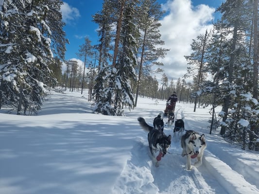 Winter Urlaub in Schweden