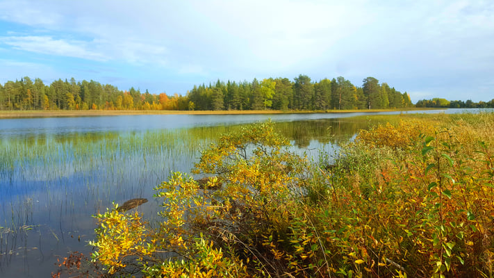 Ausblick von der Huskyfarm aus