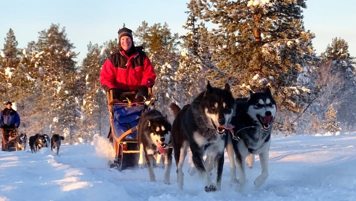 Hundeschlittentouren in Schweden
