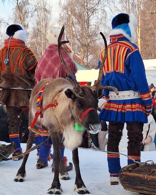 Die Samen bewohnen Teile von Schweden, Norwegen, Finnland und Russland. 
