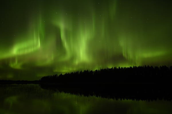 Polarlichter über der Lapplands Drag Huskyfarm