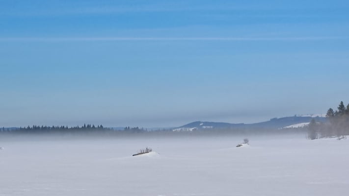 Huskyfarm Lapplands Drag bietet einmalige Naturerlebnisse