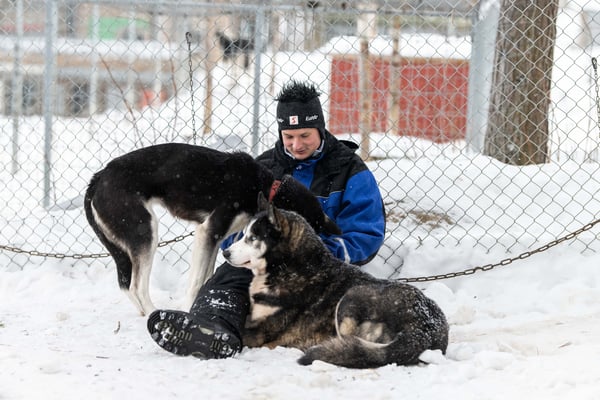 Kuscheln mit den Huskys