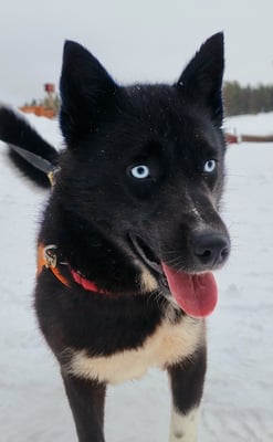 EYVA, geb 07.05.2023 - Pate: Anna Mendlik