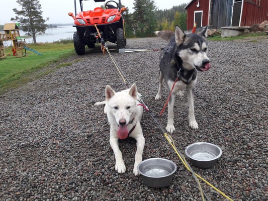 Nach der Tour wird gechillt- Lenny und Spray