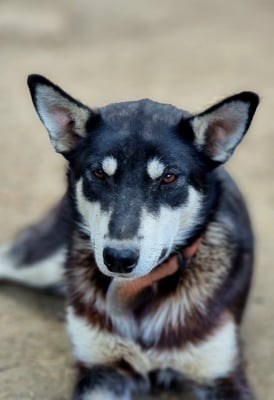 MAY, geb 15.08.2022 - Pate: Steffi Eberhardt