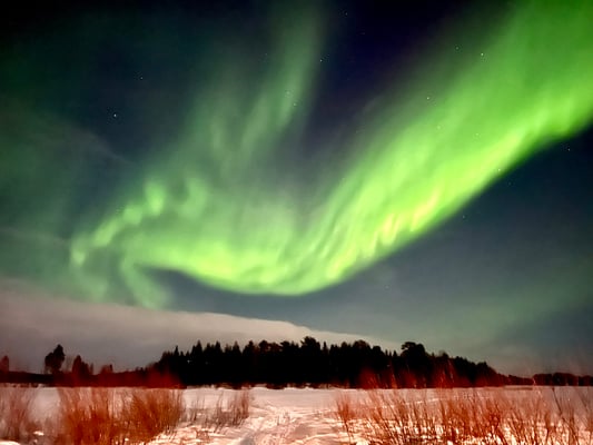 Nordlichter über der Lapplands Drag Huskyfarm