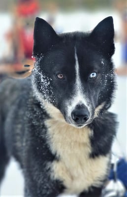 ZERO, geb 14.05.2021 