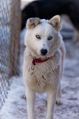 ZOOMA, geb 14.05.2021- Pate: Michaela Kaiser