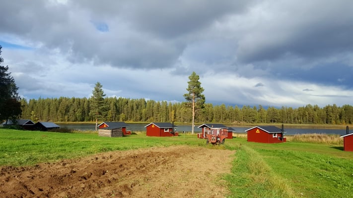 Unsere Huskyfarm mit Kartoffelacker in Lappland