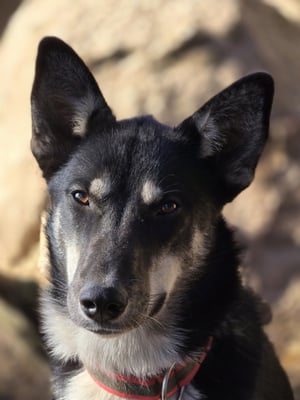 GRACE, geb 01.12.2023