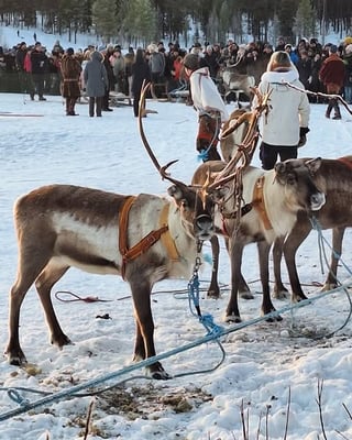 Schwedens Ureinwohner führen ein nachhaltiges, naturverbundenes Leben mit einer reichen Kultur
