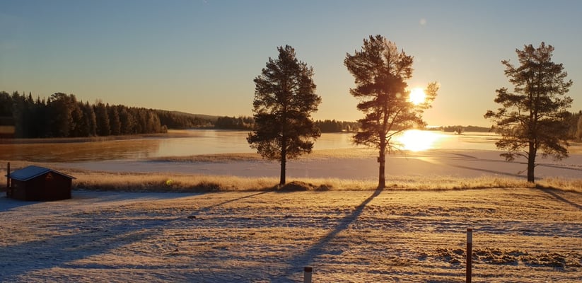 Huskyfarm Lapplands Drag