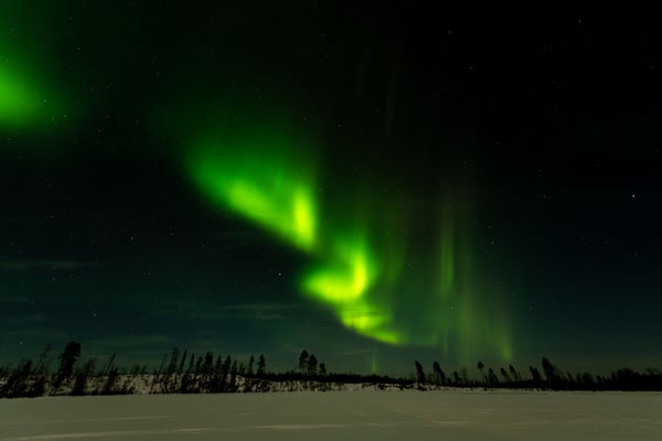 Nordlichter Alarm über der Lapplands Drag Huskyfarm
