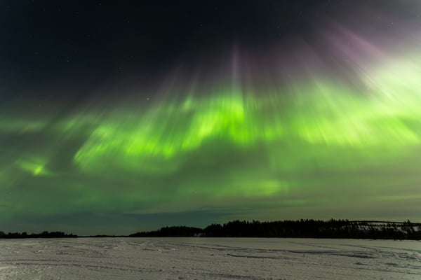 Nordlichter über der Lapplands Drag Huskyfarm