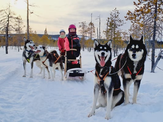 7-jährige Kinder mit ihren eigenen Huskygespannen
