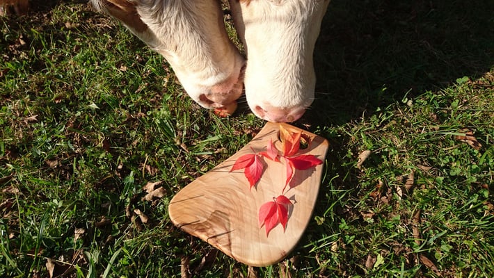 © macani wooddesign