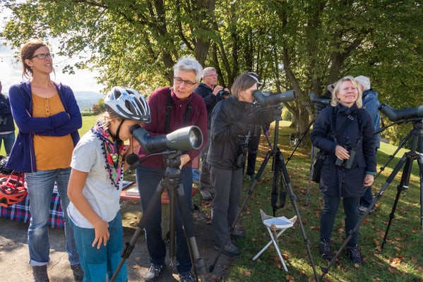 Bird Watch Day 01.10.2017 (Foto: Stephan Trösch)