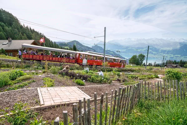 ©Kräuterhotel-Edelweiss