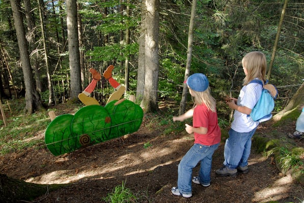 ©Sportbahnen-Atzmännig