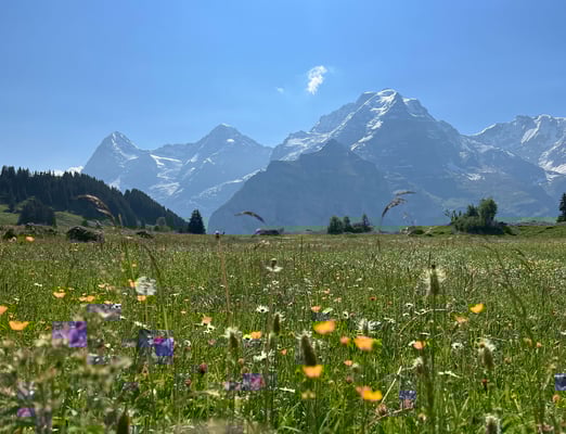 ©Bergpension-Suppenalp