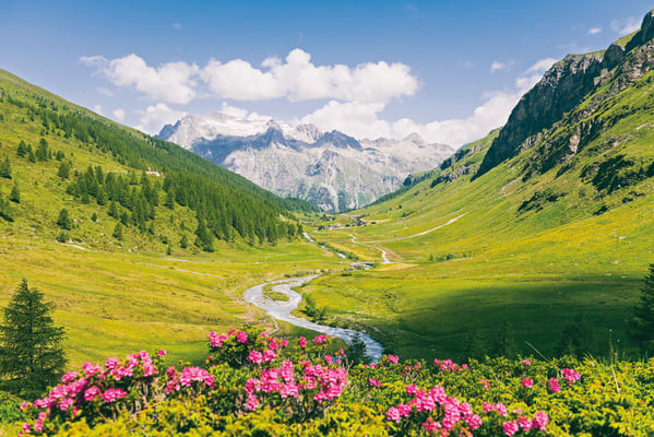 ©Sils-Tourismus_Gian-Giovanoli