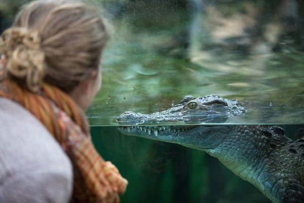 ©Zoo Zürich, Enzo Franchini