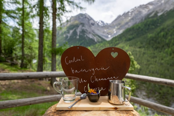 ©Schweizerischer Nationalpark/Hans Lozza