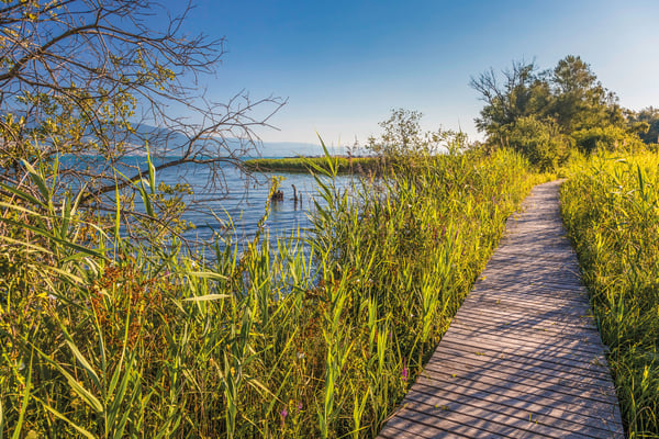 ©Fribourg-Region, Pascal Gertschen