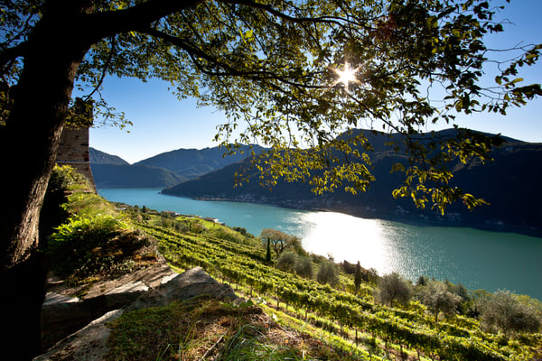 ©Tenuta Castello di Morcote