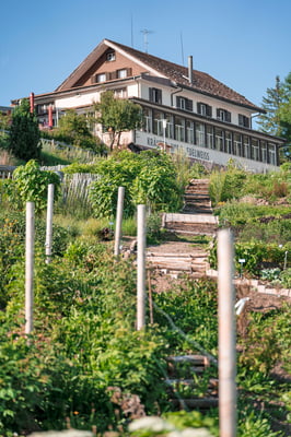 ©Kräuterhotel-Edelweiss