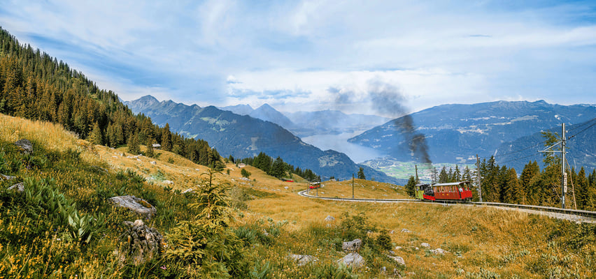 ©Alpengarten-Schynige-Platte
