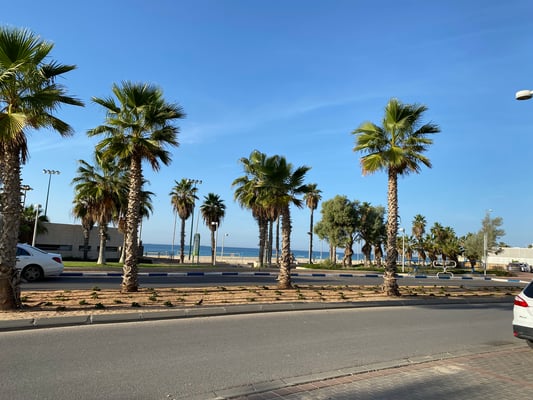 Face à la plage et aux cafés- restaurants