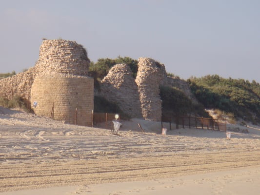 Metsada à proximité