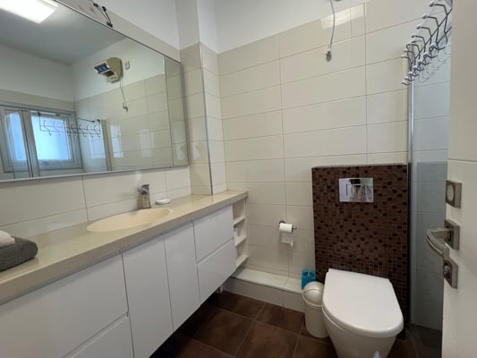 2ème salle de bain, avec douche